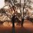 airon